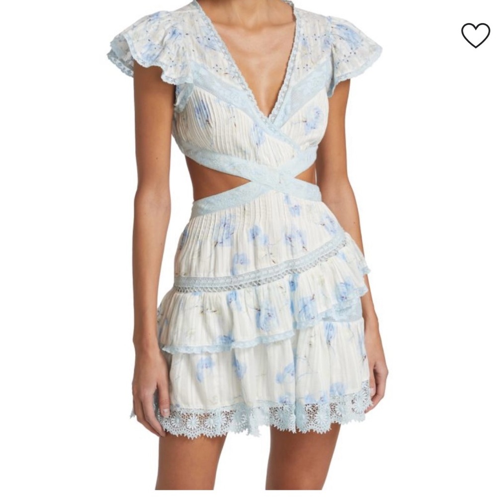Loveshack Fancy Floral Blue and White Dress